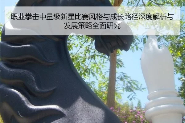 职业拳击中量级新星比赛风格与成长路径深度解析与发展策略全面研究